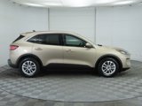 Used 2020 Ford Escape SE image 4