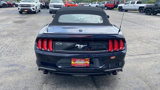 Used 2021 Ford Mustang Premium image 6