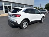 Used 2022 Ford Escape SE w/ Cold Weather Package image 3