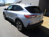 Used 2022 Ford Escape SE w/ SE Sport Appearance Package image 3