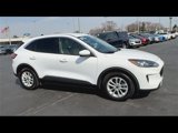 Used 2020 Ford Escape SE image 2