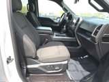 Used 2016 Ford F150 XLT w/ Equipment Group 302A Luxury image 5