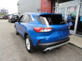 Used 2020 Ford Escape SE image 3