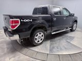Used 2014 Ford F150 XLT w/ Equipment Group 302A Luxury image 5
