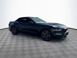 Used 2019 Ford Mustang Premium image 3
