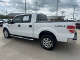Used 2012 Ford F150 XLT w/ XLT Chrome Pkg image 5
