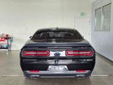 Used 2017 Dodge Challenger SXT w/ Blacktop Package image 5
