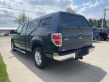 Used 2013 Ford F150 XLT w/ XLT Chrome Pkg image 2