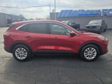 Used 2021 Ford Escape SE w/ Convenience Package image 6