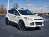 Used 2016 Ford Escape SE w/ SE Chrome Package image 2
