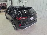 Certified 2024 Ford Escape Platinum image 6