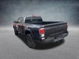 Used 2022 Toyota Tacoma TRD Sport w/ TRD Premium Sport Package image 5