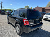 Used 2011 Ford Escape XLT w/ 202A Rapid Spec Order Code image 5