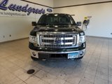 Used 2014 Ford F150 XLT w/ Equipment Group 302A Luxury image 2