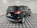 Used 2013 Ford Escape SE image 5