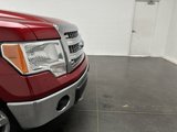 Used 2013 Ford F150 XLT w/ Luxury Equipment Group image 2