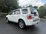 Used 2011 Ford Escape Limited w/ 302A Rapid Spec Order Code image 6