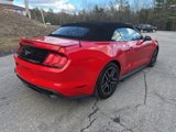 Used 2022 Ford Mustang Premium image 5