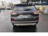 Used 2022 Ford Escape SE w/ Convenience Package image 6
