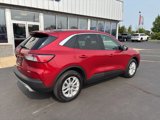 Used 2020 Ford Escape SE image 3