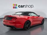 Used 2019 Ford Mustang Premium w/ Equipment Group 201A image 4
