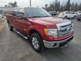 Used 2013 Ford F150 XLT w/ Luxury Equipment Group image 4