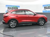 New 2025 Ford Escape ST-Line w/ Tech Pack #1 image 6