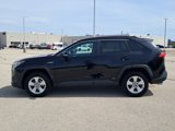 Used 2021 Toyota RAV4 XLE image 6
