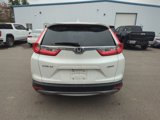 Used 2019 Honda CR-V EX-L image 4