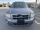 Used 2008 Ford Escape XLT image 2