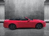 Used 2023 Ford Mustang Premium image 4
