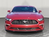 Used 2020 Ford Mustang Coupe image 2