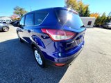 Used 2014 Ford Escape SE image 5