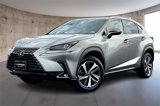 Used 2019 Lexus NX 300 AWD image 3