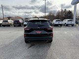 New 2025 Ford Escape ST-Line w/ Tech Pack #1 image 4