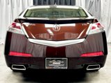 Used 2010 Acura TL w/ Technology Package image 6