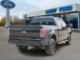 Used 2013 Ford F150 FX4 image 4