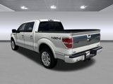 Used 2014 Ford F150 Platinum image 5