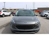 Used 2021 Ford Escape SEL image 2