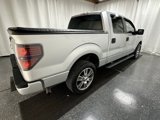 Used 2014 Ford F150 STX w/ Equipment Group 201A Mid image 5