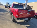 Used 2015 Ford F150 XLT w/ Equipment Group 302A Luxury image 5