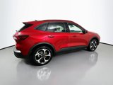 New 2025 Ford Escape ST-Line Elite w/ Tech Pack #1 image 6