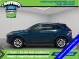 Used 2020 Ford Escape SE image 2