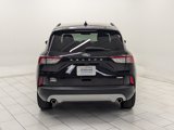 Used 2020 Ford Escape SEL image 6