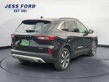 Used 2023 Ford Escape Platinum image 5