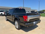 Used 2019 Ford F150 Limited image 5