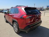 Used 2020 Toyota RAV4 XLE Premium image 3