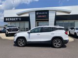 Used 2019 GMC Terrain SLT image 2