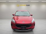 Used 2020 Ford Escape SE image 2
