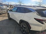 Used 2024 Hyundai Tucson Limited image 4
